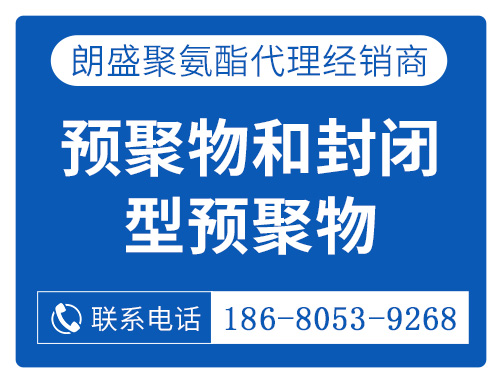 預(yù)聚物和封閉型預(yù)聚物