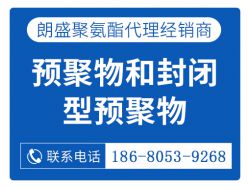 預(yù)聚物和封閉型預(yù)聚物