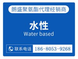 水性